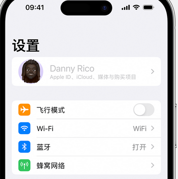 岱岳appleID维修服务iPhone设置中Apple ID显示为灰色无法使用