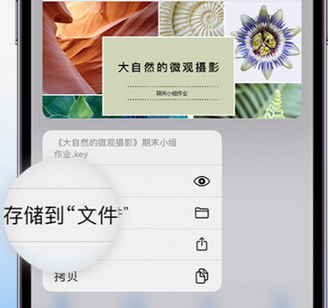 岱岳apple维修中心分享iPhone文件应用中存储和找到下载文件