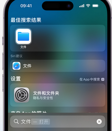 岱岳apple维修中心分享iPhone文件应用中存储和找到下载文件