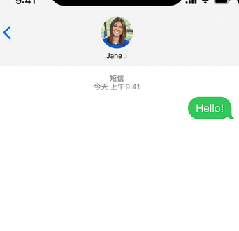 岱岳apple维修iPhone上无法正常发送iMessage信息