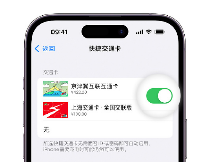 岱岳apple维修点分享iPhone上更换Apple Pay快捷交通卡手绘卡面 