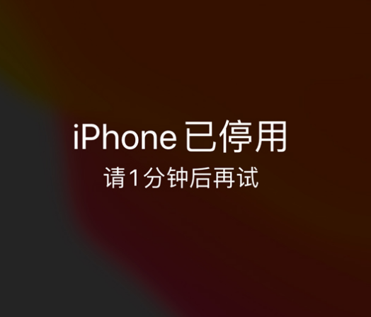 岱岳苹果手机维修分享:iPhone 显示“不可用”或“已停用”怎么办？还能保留数据吗？ 