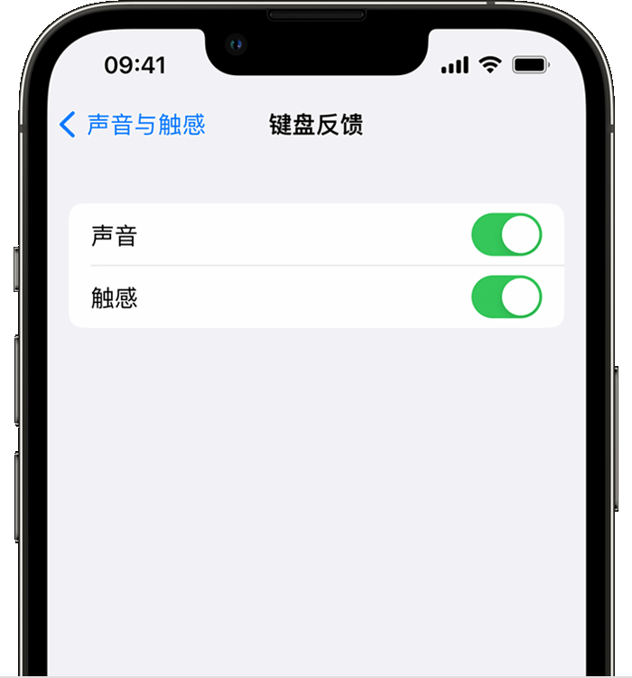 岱岳苹果14维修店分享如何在 iPhone 14 机型中使用触感键盘 