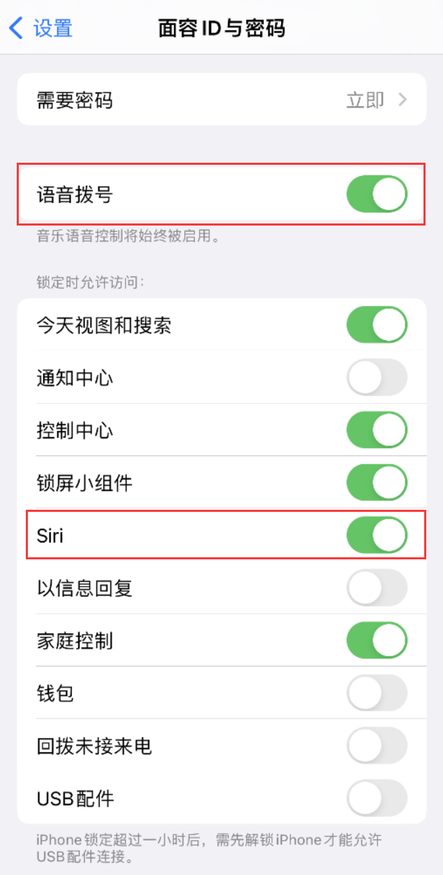 岱岳苹果维修网点分享不解锁 iPhone 的情况下通过 Siri 拨打电话的方法 