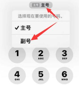 岱岳苹果14维修店分享iPhone 14 Pro Max使用副卡打电话的方法 