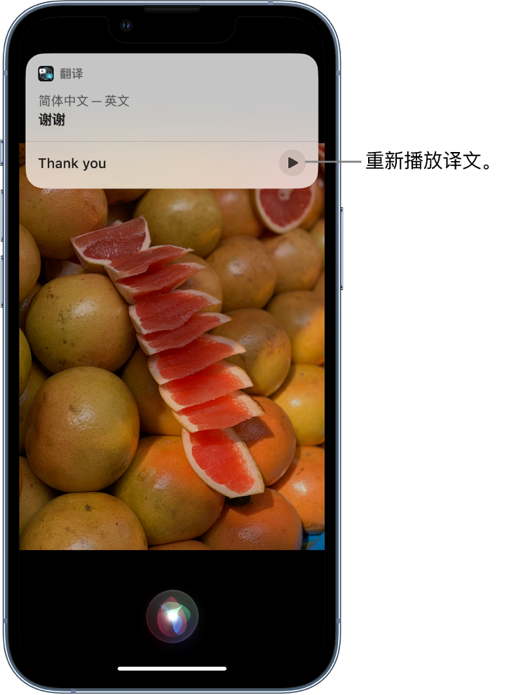 岱岳苹果14维修分享 iPhone 14 机型中使用 Siri：了解 Siri 能帮你做什么 