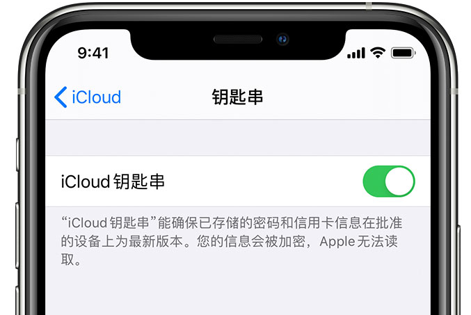 岱岳苹果手机维修分享在 iPhone 上开启 iCloud 钥匙串之后会储存哪些信息 